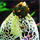 huangzhuofei's avatar